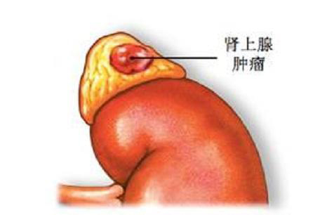 微信图片_202110150811198.jpg
