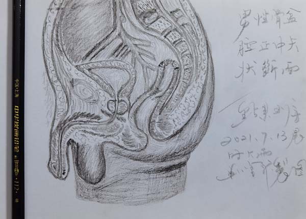 图片_04.jpg