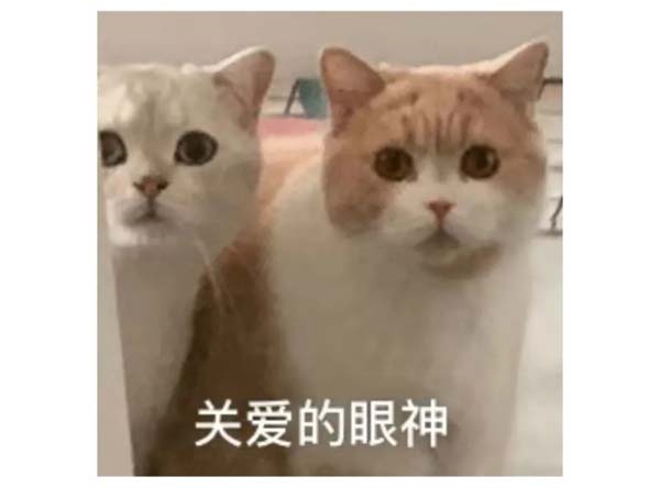微信图片_20220628101758.jpg