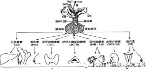 微信图片_20220725145927.jpg