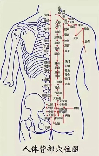 b7694cd90859e23f839e763d90bd8cf.jpg