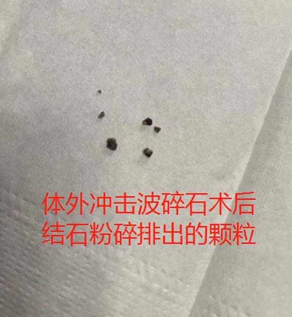 微信图片_20230207173331.jpg