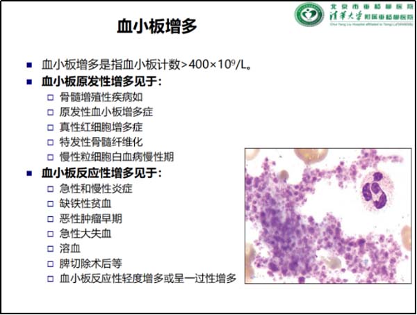 微信图片_20230216101825.jpg