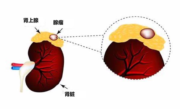 微信图片_20230506123155.jpg