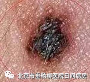 微信图片_20230619105936.jpg