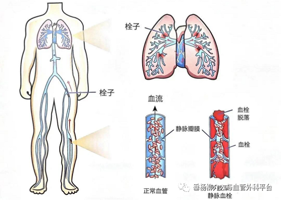 微信图片_20231024105558.png