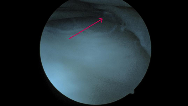 640-(2).jpg