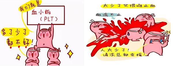 640 (1).png