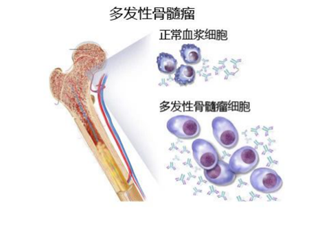 微信图片_20240629083938.png
