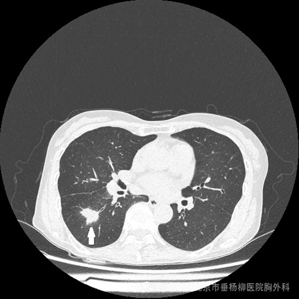 微信图片_20241021173727.jpg