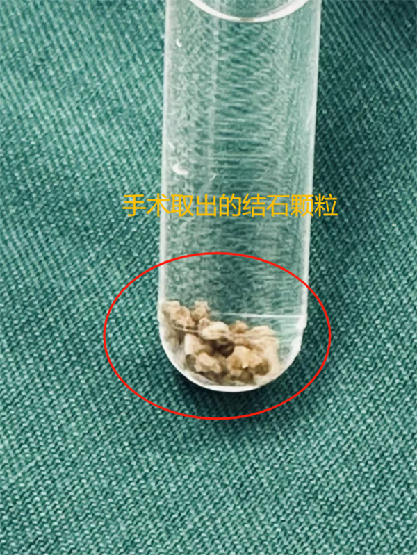 微信图片_20250226160724.jpg